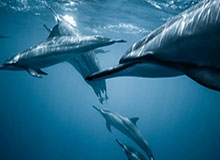 开云官网入口-【观察】招安or革命？2020足坛天下大乱蕴藏变法暗流